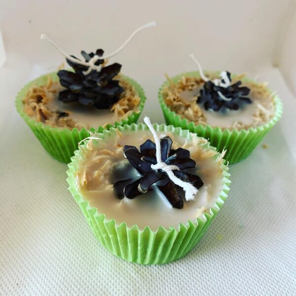 Grilla, kamīna dabīgi iekuriņi