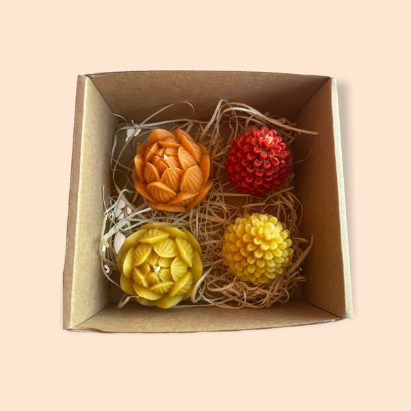 Bišu vaska lotosa ziedu un čiekuriņu komlekts