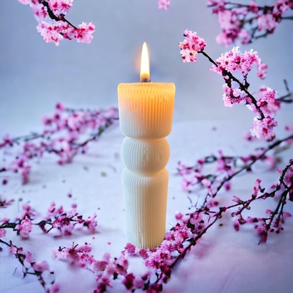 Aromātiska cilindriska sojas vaska svece