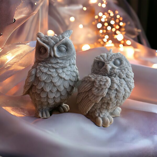 Pūce kā gudrības simbols_pāris